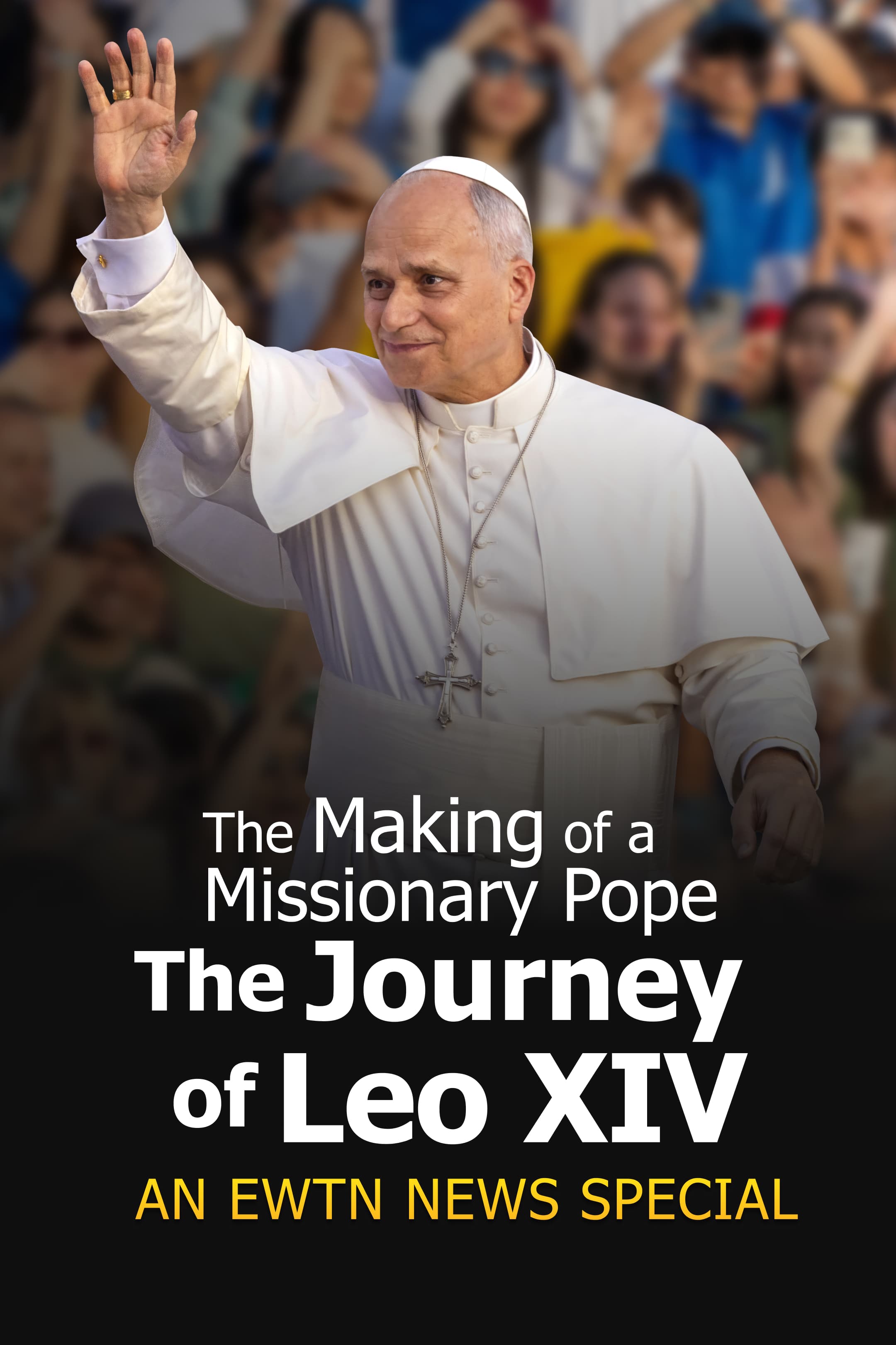 The Making of a Missionary Pope: The Journey of Leo XIV